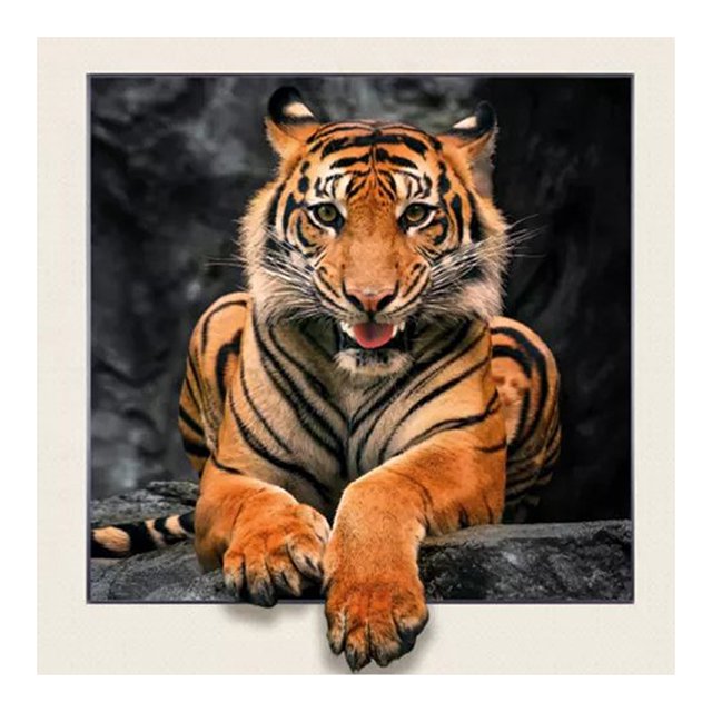 Pintura de diamante 5D DIY Kit de tigre de taladro redondo completo decoración del hogar arte artesanal Hugtrwg Para estrenar