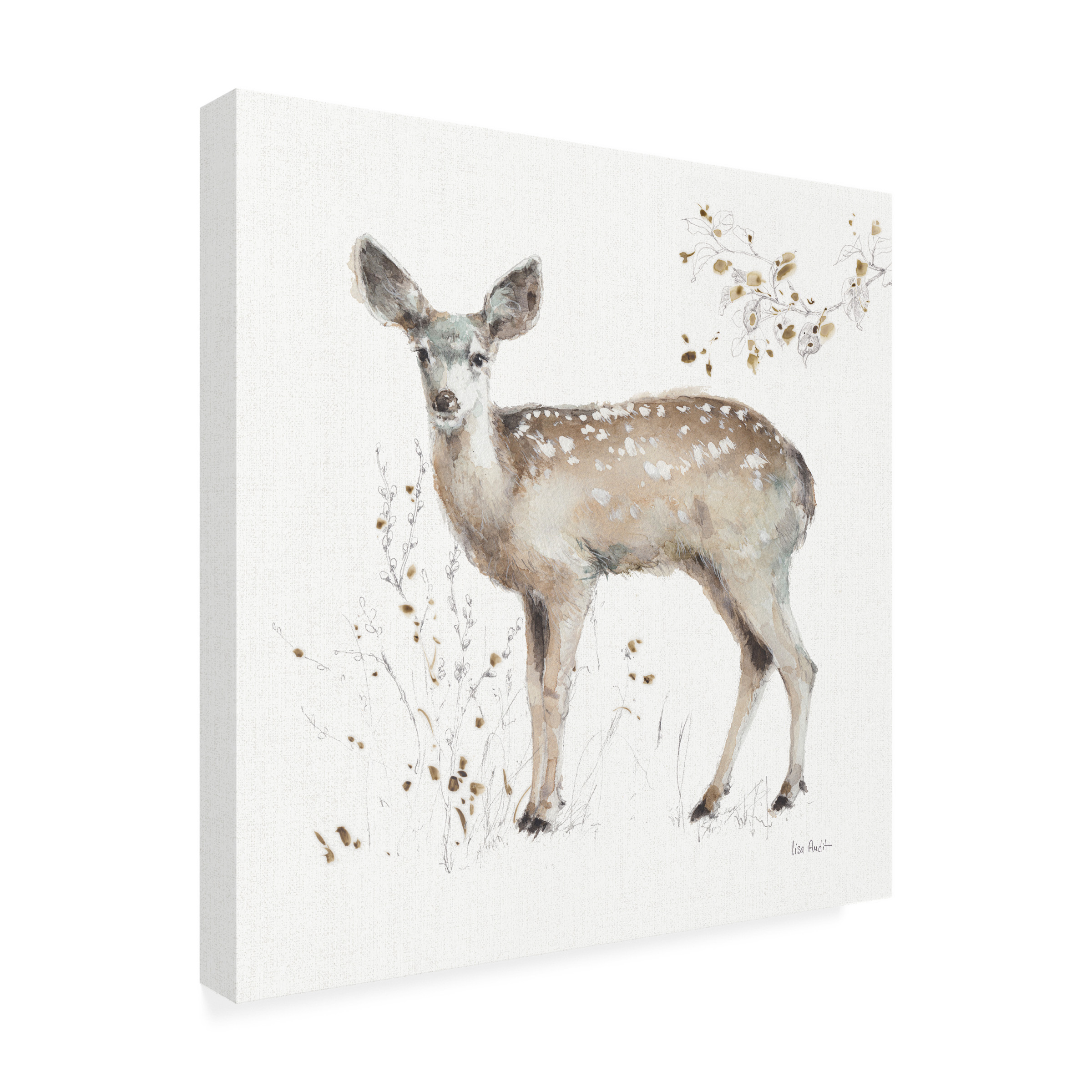 Trademark Fine Art 'Woodland Walk IX Fawn' Canvas Art by Lisa Audit