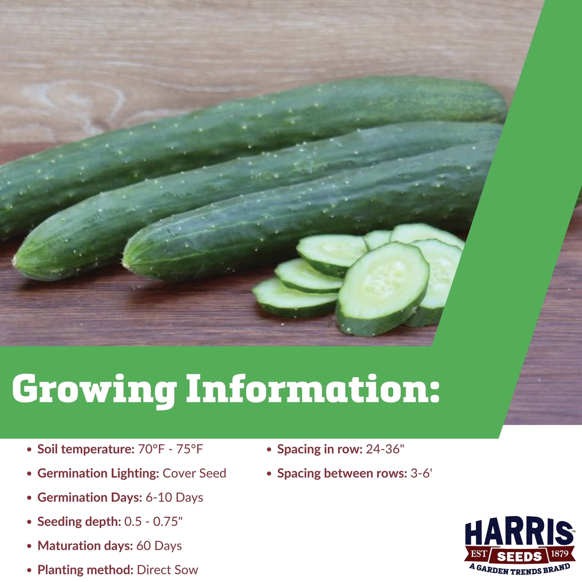Harris Seeds Burpless 26 F1 Cucumber, Japanese Slicing Cucumber, Treated, 500 Count
