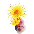 thumbnail image 2 of Artificial Silicone Coral Plant for Aquarium Fish Tank Landscaping Decor Ornament(Yellow), 2 of 5