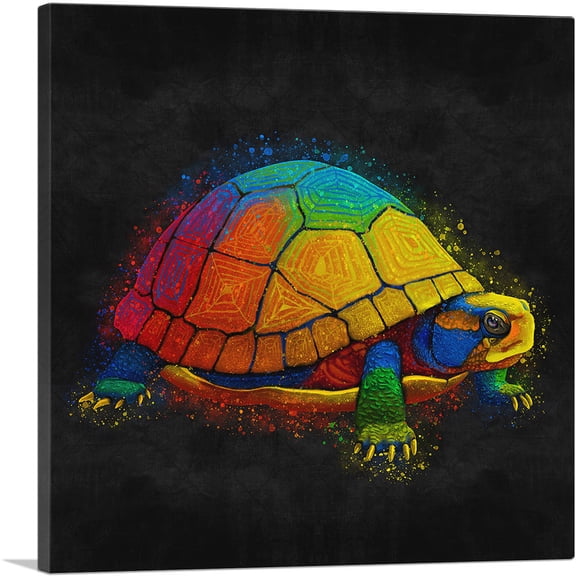 ARTCANVAS Turtle Tortoise Reptile Animal Canvas Art Print - Size: 26" x 26" (0.75" Deep)