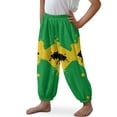 thumbnail image 3 of DISNIMO Jamaican Flag Harem Bloomers for Boys Harem Pants Kids Bloomer Harem Pants Boys Bloomers Trousers 3-7 Years Old Beach Pants for Boys Bloomer Trousers for Kids Fall Long Jogger Pants Boy, 3 of 7