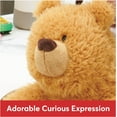 thumbnail image 3 of GUND Growler Teddy Bear Classic Brown Bear Plush Stuffed Animal, 12”, 3 of 4