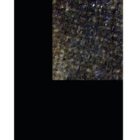 Vida de la Virgen (1): Según María Jesús de Ágreda en la Mística Ciudad de Dios (Paperback) by Santiago Mata, Maria Jesus de Agreda