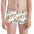 thumbnail image 5 of Yiaed Penguin With Flowers Print Boys' Boxer Briefs Cotton Casual Stretch Comfort Boys Boxers - Kids Boxer Briefs Underwear for Boys (6-18)-Small, 5 of 5