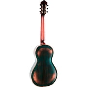 Recording King RM-993 Metal Body Parlor Resonator Guitar Distressed Vintage Green