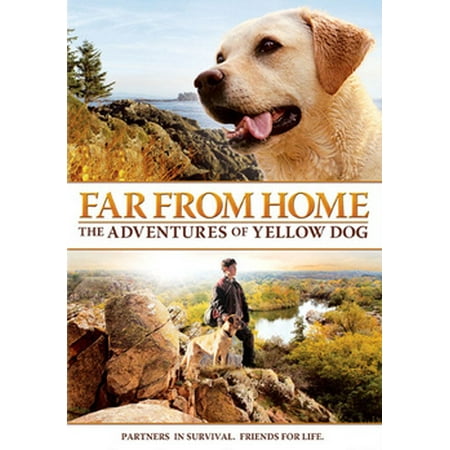 Far From Home (DVD)