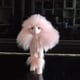 thumbnail image 4 of Estatua de caniche kusrkot decoración moderna Cachorro rosado, 4 of 8