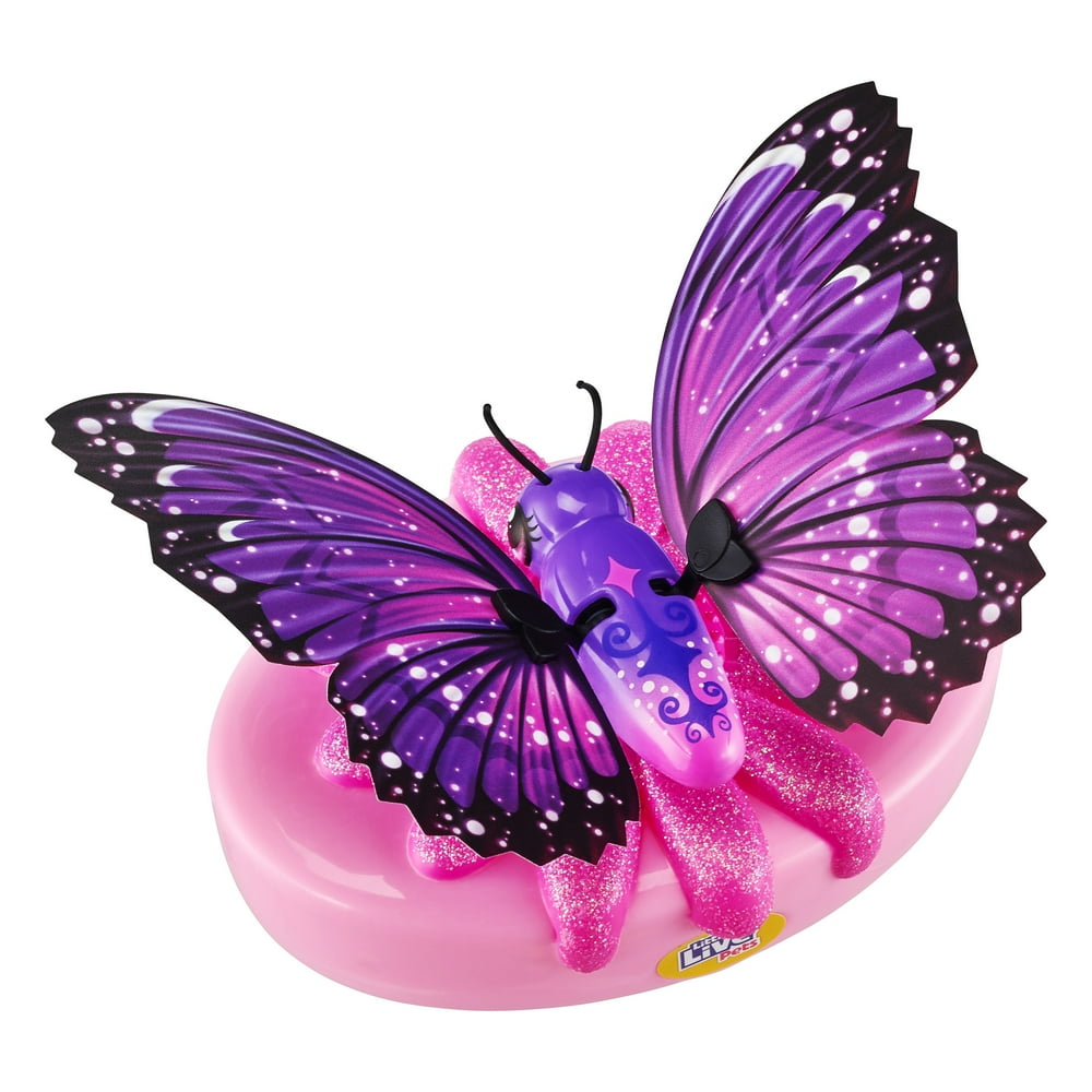 Little Live Pets Lil' Butterfly Like A Real Butterfly Star Wings