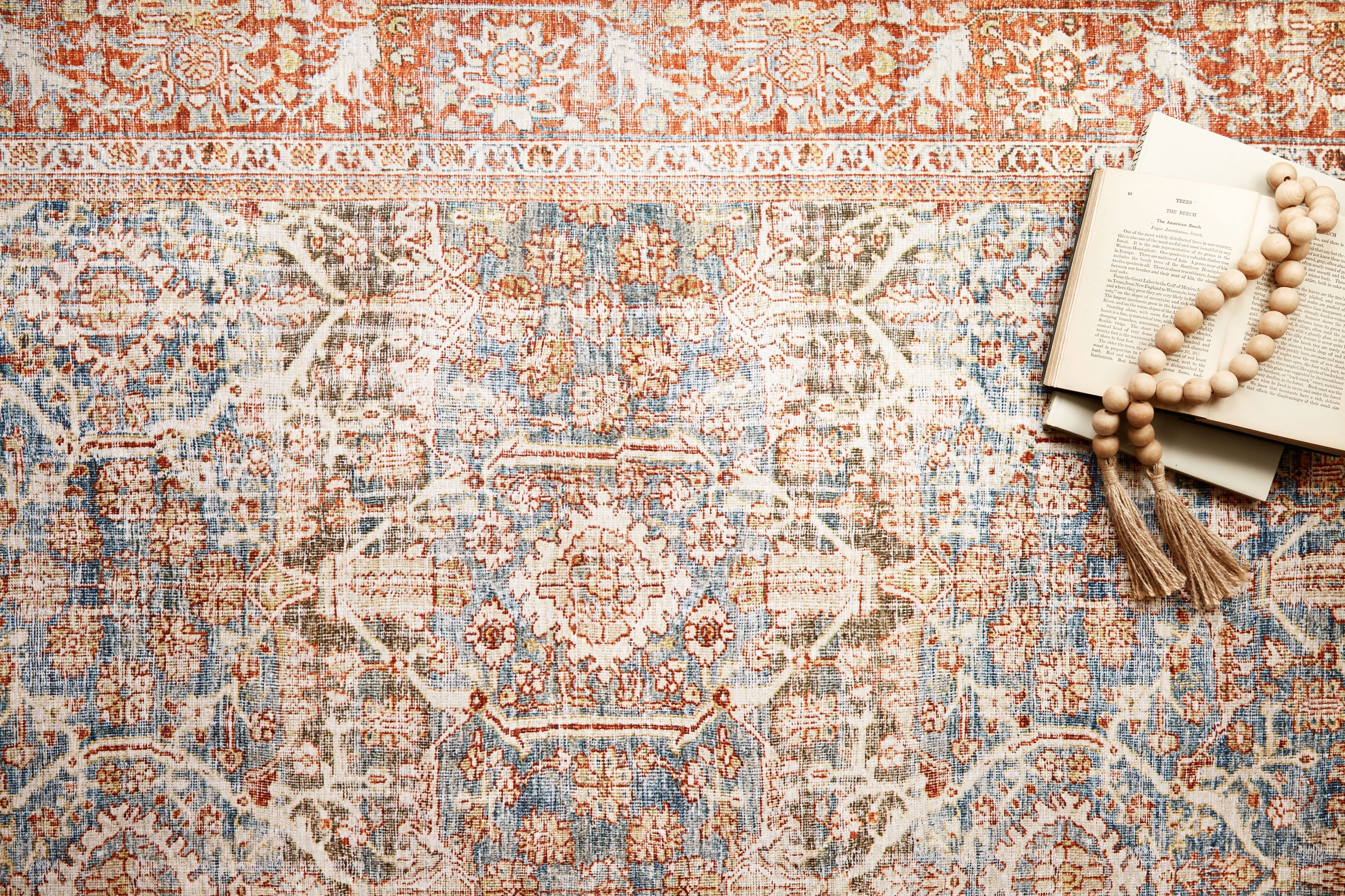 Loloi Layla Printed Oriental Distressed Ocean / Rust Area Rug