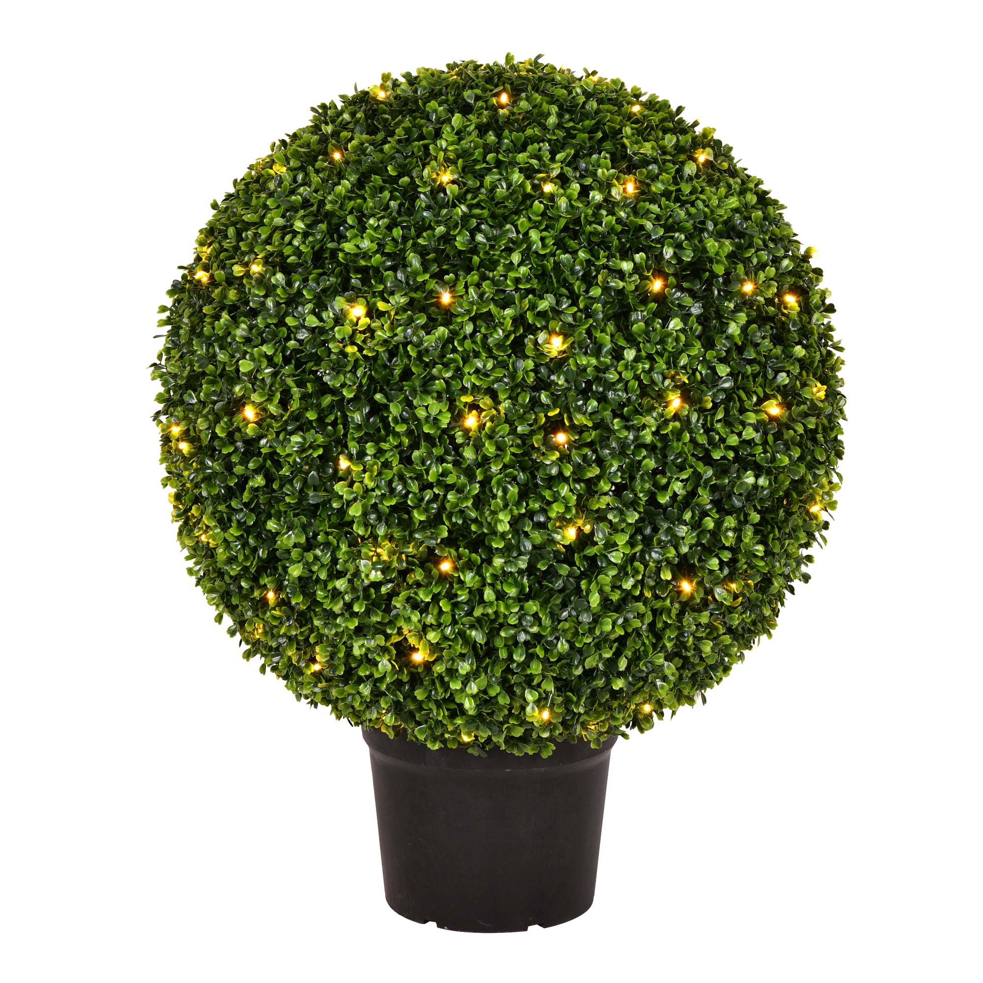 TP171324 Case of 1 Details about   Vickerman 24" Boxwood Ball In Pot UV 