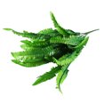 thumbnail image 1 of Starbun Simulation Fern Grass - Green Simulation Fern Bouquet Silk Plants Fake Persian Leaves Home Decoration, 1 of 7