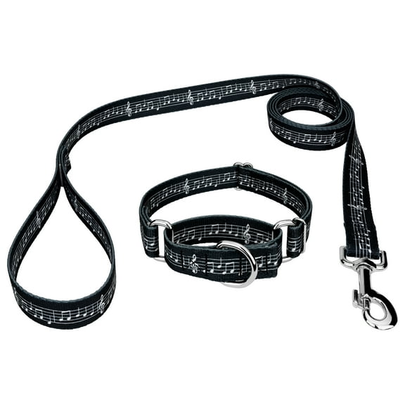 Country Brook Petz® Sheet Music Martingale Dog Collar and Leash, Small