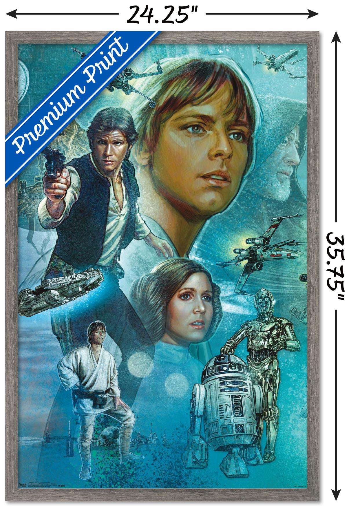 Star Wars: A New Hope - Celebration Mural Wall Poster, 22.375" x 34", Framed