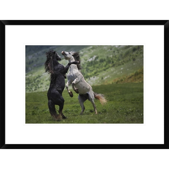 Global Gallery Vedran Vidak 'Black And White' Framed Wall Art
