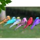 thumbnail image 5 of onlyliua Oferta Por Tiempo Limitado 12 Piezas de Pájaros Artificiales de Espuma, Simulación de Pájaros, Adorno Del Hogar, Cinco Colores, 5 of 7