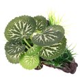 thumbnail image 2 of KAKOWELY Terrario de plantas artificiales para reptiles, decoración de peceras, paisaje, adorno vegetal, 2 of 5