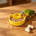 thumbnail image 5 of Yhmxh Ceramic Bird Feeding Bowl, Cute Bird Food Dish, Splatter Proof Parrot Cockatiel Feeder Dish, Heavy Base Ceramic Bird Feed Bowl for Small Medium Parrots Pet Bird Cage Daily Feeding Supplies, 5 of 6