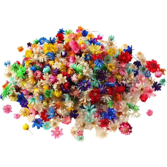 YIEMEEN 1Box Dried Flowers UV Resin Decorative Natural Dry Flower Stickers Decal Filling