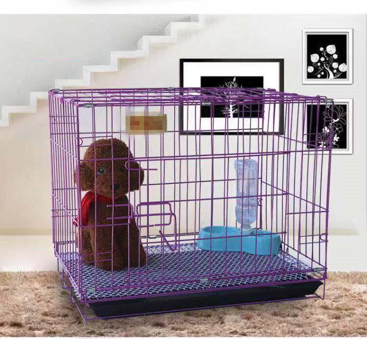 purple dog cage