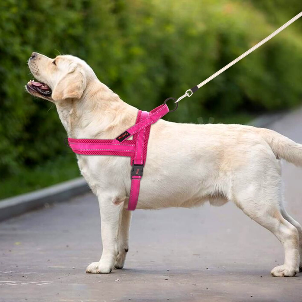Pet Artist No Pull Dog Pet Dog Harness Reflective Nylon Mesh Padded with Handle Front Leading