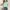 Mint Green, variant on Liyamei Girls Graphic Short Sleeve Tops Casual Summer Tees For Toddler Kids Comfortable Daily Wear Cute Printed Shirts Girls Tops Size 3-4 Years
