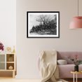 thumbnail image 3 of Historic Framed Print, Company C, 3rd U.S. Infantry near Fort Meade, So. Dak. - 2, 17-7/8" x 21-7/8", 3 of 9