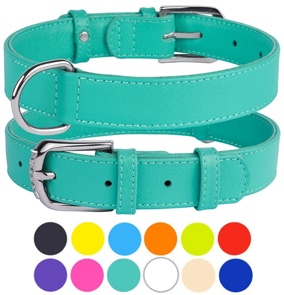 Leather Dog Collar Puppy Collars for Large Dogs Soft Padded, Mint Green