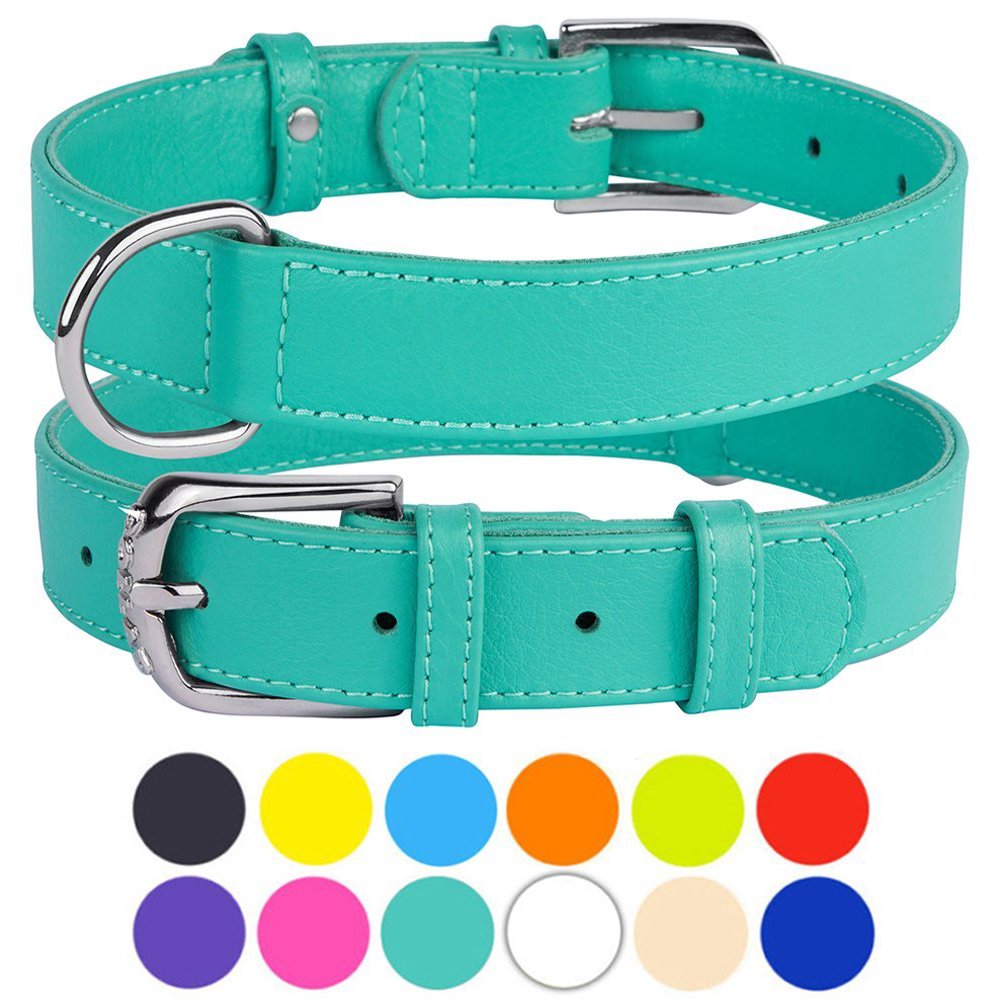 Leather Dog Collar Puppy Collars for Large Dogs Soft Padded, Mint Green
