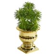 thumbnail image 1 of Nearly Natural 8701 Spiky Succulent Artificial Plant in Gold Urn, 1 of 1