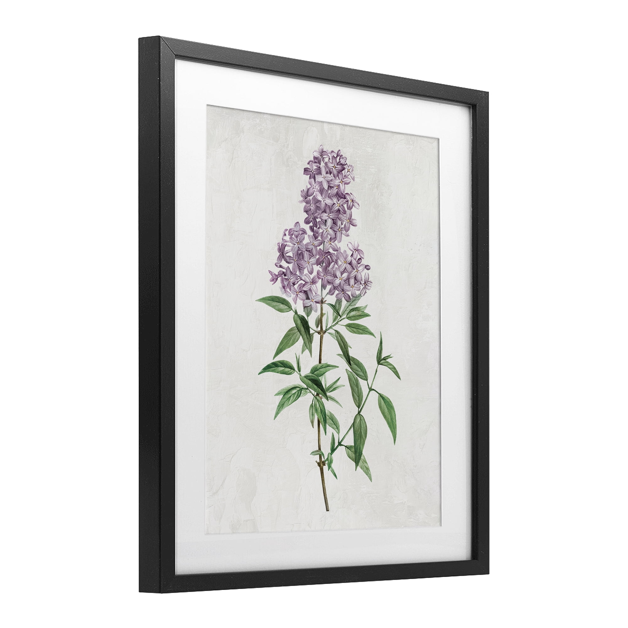 Stupell Industries Lilac Blossoms Blooms Black Framed Print Under Glass, design by Kim Allen
