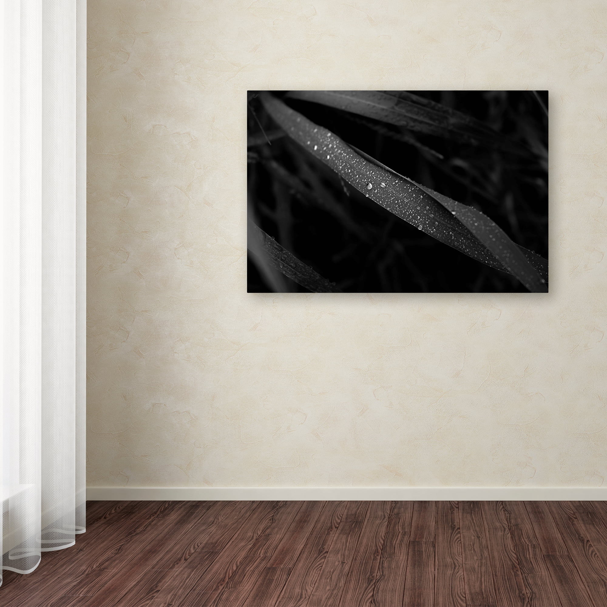 Trademark Fine Art 'Dew Drop' Canvas Art by Kouzou Nakano