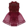 thumbnail image 3 of MSemis Big Girls Sequined Lyrical Ballet Dance Leotard Skirted, 3 of 7