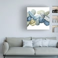 thumbnail image 3 of Grace Popp 'Found Pebbles II' Canvas Art, 3 of 4
