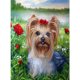 thumbnail image 1 of Diamond Painting 5D DIY Kit de perro de taladro redondo completo Decoración del dormitorio del hogar (sz3074) FLhrweasw Nuevo, 1 of 9