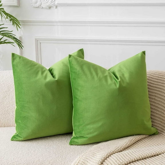 Apple Green Pillow Covers Set of 2 Soft Decorative Pillow Cases for Couch Bed Sofa Zippered Closure Luxurious Fabric Rich Colors Machine Washable Home Decor