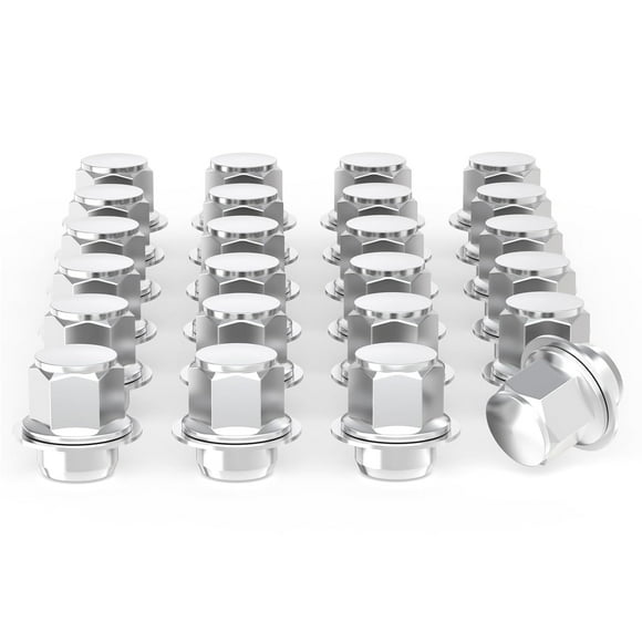HWZWT x 20 pieces Tacoma