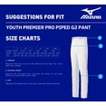 thumbnail image 3 of Pantalón Piped Mizuno Select Pro G2 para Chicos Juventud Gris-Rojo M, 3 of 4