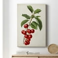 thumbnail image 6 of Antique Fruit II Premium Gallery Wrapped Canvas - Ready to Hang, 6 of 9