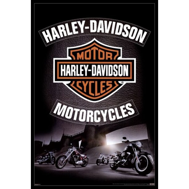 Harley Davidson Leather Laminated & Framed Poster (24 x 36)