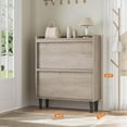 thumbnail image 7 of Studyset Shoe Cabinet with 2 Flip Drawers, Wooden Shoe Organizer Cabinet with Adjustable Shelf, Shoe Storage for Entryway, Hidden Shoe Cabinet for Hallway, Living Room, 7 of 7
