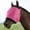 Hot Pink, variant on Horse Fly Mask with Ears, Full Face Fine Mesh UV Protection Fly Mask for Horses, Adjustable Breathable Insect Shield for Pony, Miniature, Draft, Cob & Arabian Horses, Size 30 x 15.35 Inches