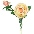 thumbnail image 5 of Northlight Real Touch™ Cream and Pink Artificial Rose Stems, Set of 6 - 26", 5 of 9