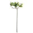 thumbnail image 2 of Tallo de gardenia artificial, flores de seda, hojas para decoración del hogar, boda, fiesta, 4 colores, 2 of 6