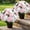 Pink, variant on Hydrangea Artificial Flowers - 16 Inch Pre-made Faux Flowers in Pots Silk Fake Potted Plant Realistic UV Resistant for Front Porch Patio Garden Outdoors Indoors Decor(2 white+4 pink, no bucket)
