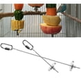 thumbnail image 4 of 2x Alimentador De Comida Para Pollo Alimentador Juguetes Colgantes Juguetes Loros Cangrejos Guacamayos Pinzones Sunnimix  Alimentador de horquilla de fruta de loro de aves, 4 of 7