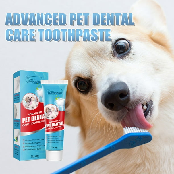 Kitten toothbrush and toothpaste cheap