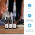 thumbnail image 3 of Pure Inventions - Coconut Water, Watermelon & Lemon Lime Trio - Water Infusion Drops - No Sugar or Calories - 12 Servings Each - Deluxe Sampler Pack, 3 of 8