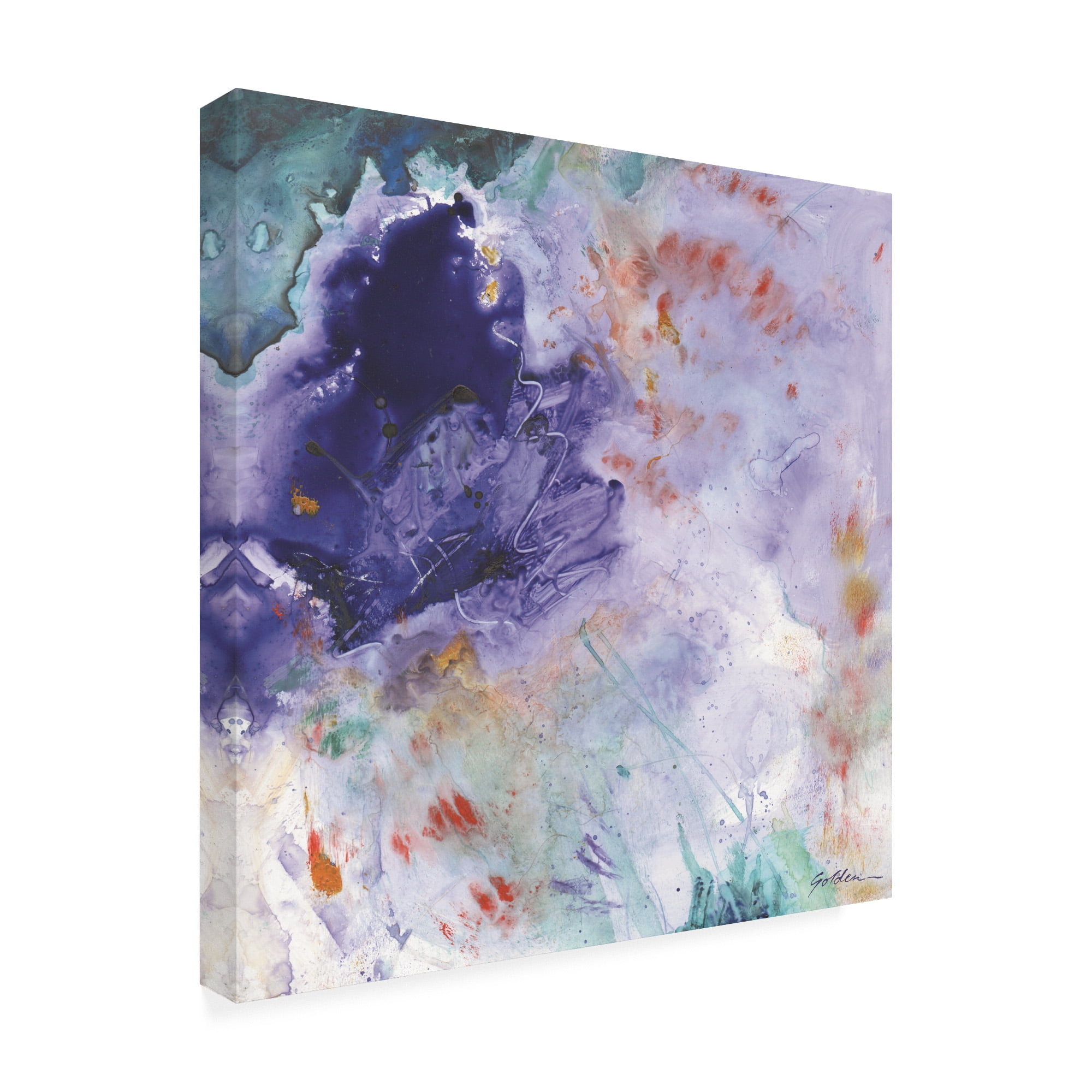 Trademark Fine Art 'Hello Birdie' Canvas Art by Mindy Lacefield