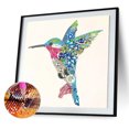 thumbnail image 3 of Kit Imágenes DIY 5D Con Forma Especial Diamantes Imitación Dibujo Pintura Búho Colibrí, 3 of 9